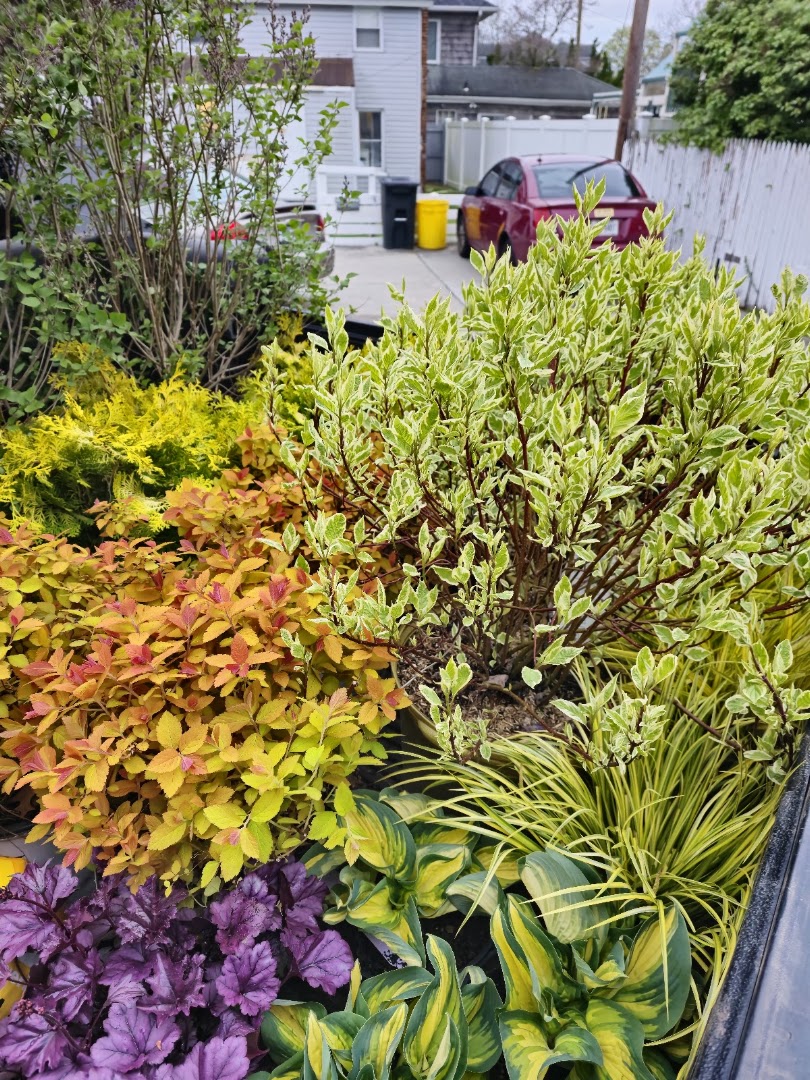Seasonal — Woodmere
